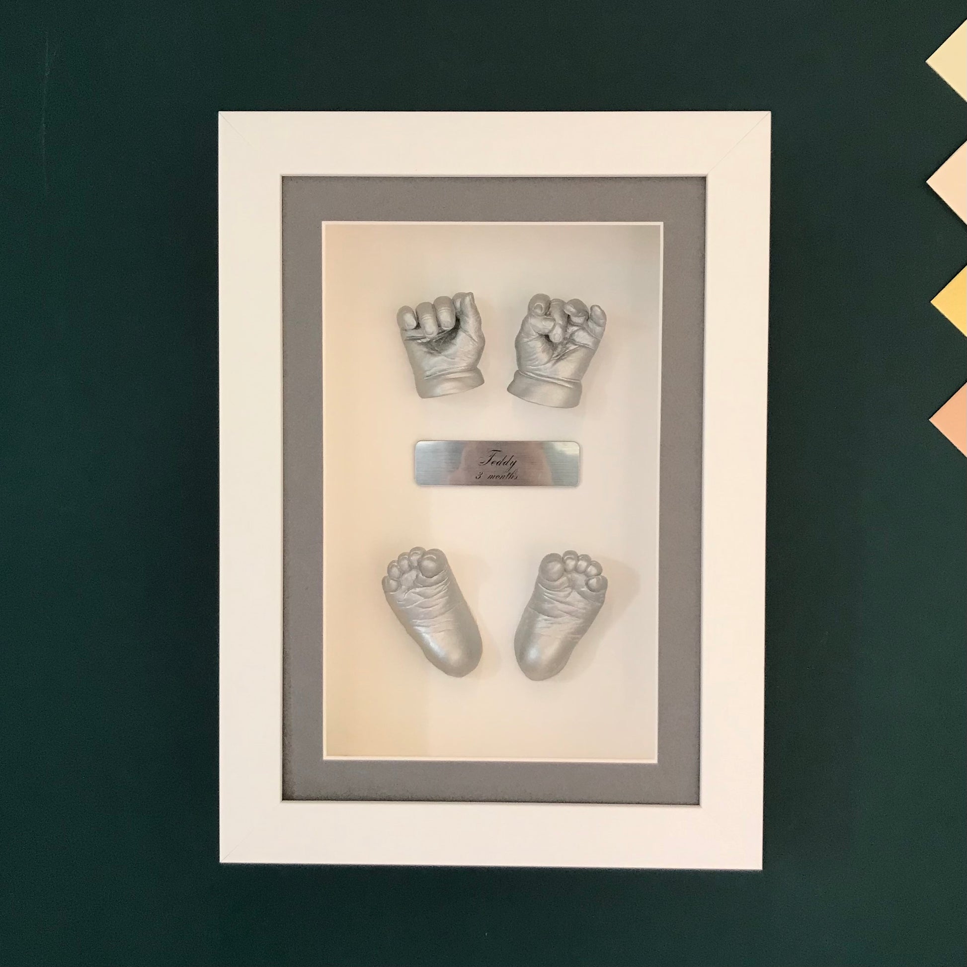 3D Framed Full Set Of Casts
