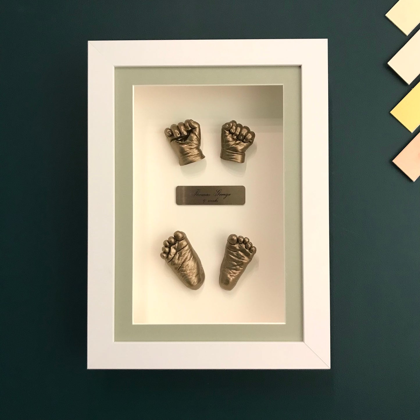 3D Framed Full Set Of Casts